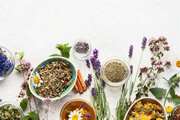بررسی سیستماتیک گیاهان دارویی ضد چاقی به‌روزرسانی